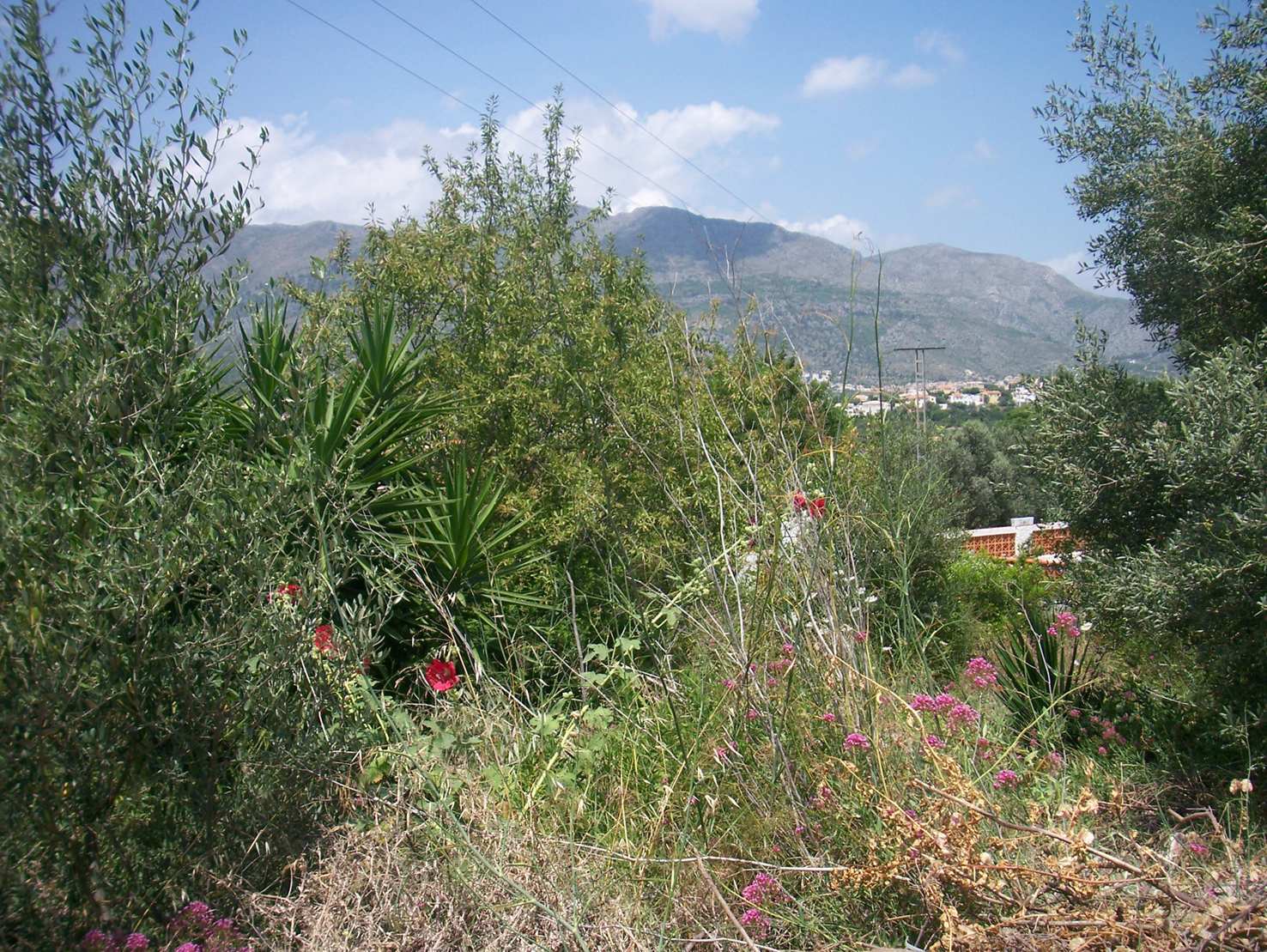 Tomt i Orba, Alicante, Spanien Nr. 183958