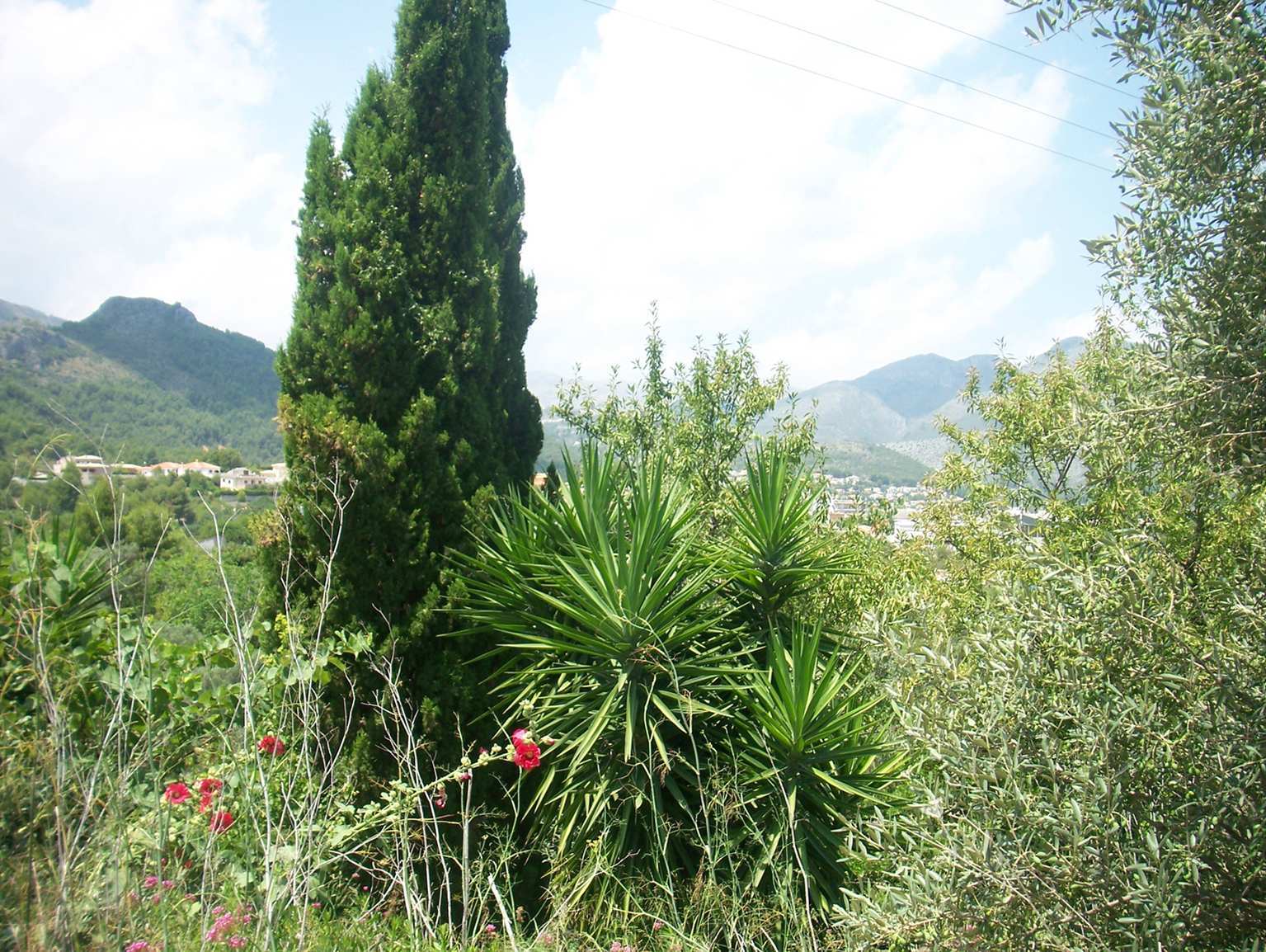Tomt i Orba, Alicante, Spanien Nr. 183958