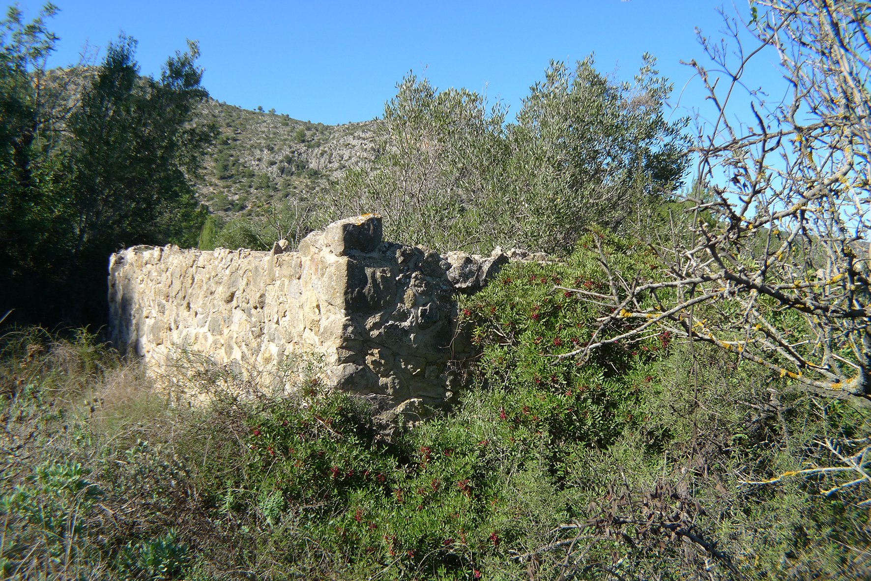 Zemes gabals Jalon, Alicante, Spānijā Nr. 183954