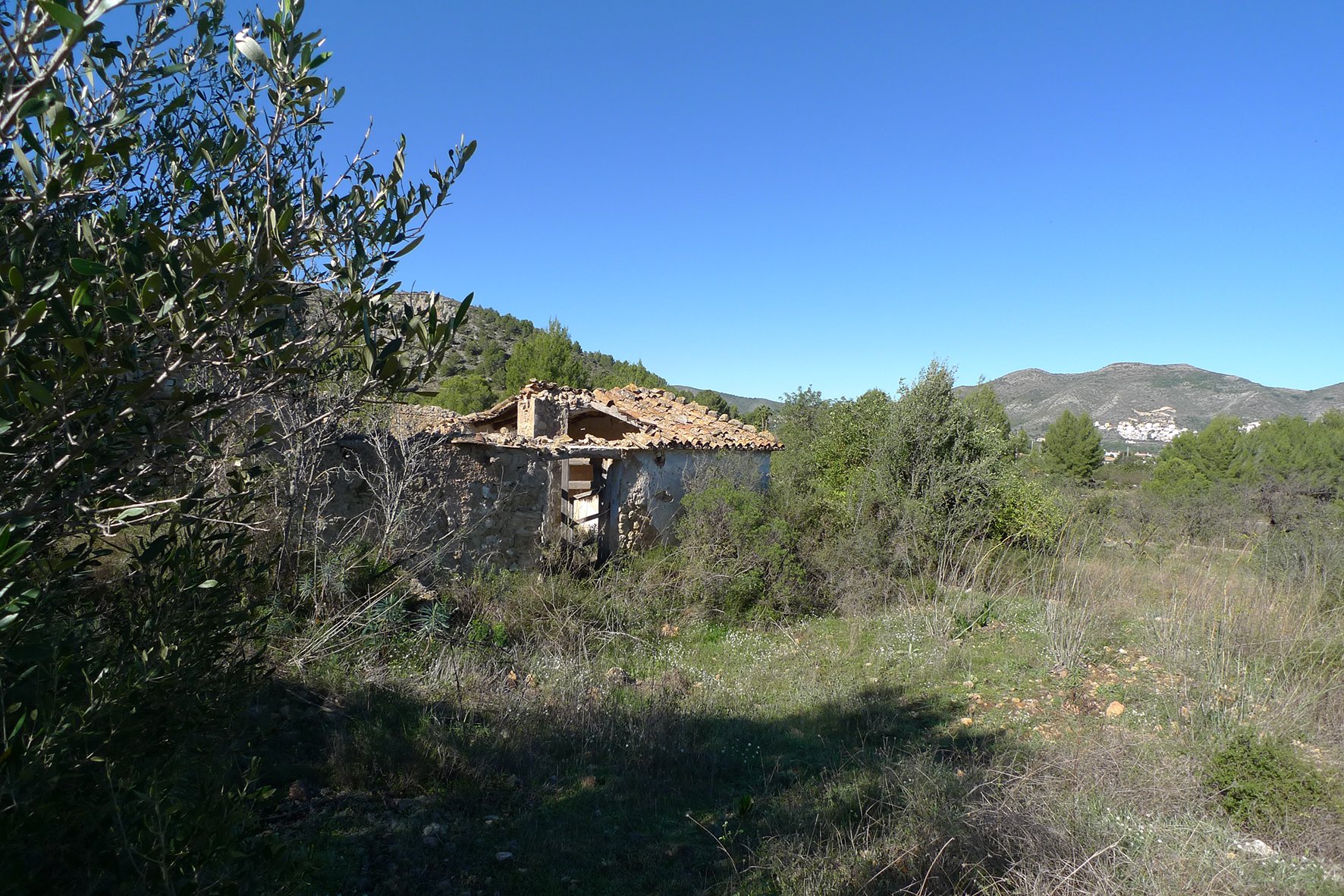 Zemes gabals Jalon, Alicante, Spānijā Nr. 183954