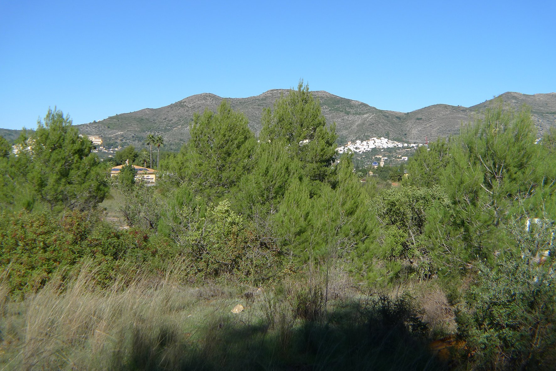Zemes gabals Jalon, Alicante, Spānijā Nr. 183954