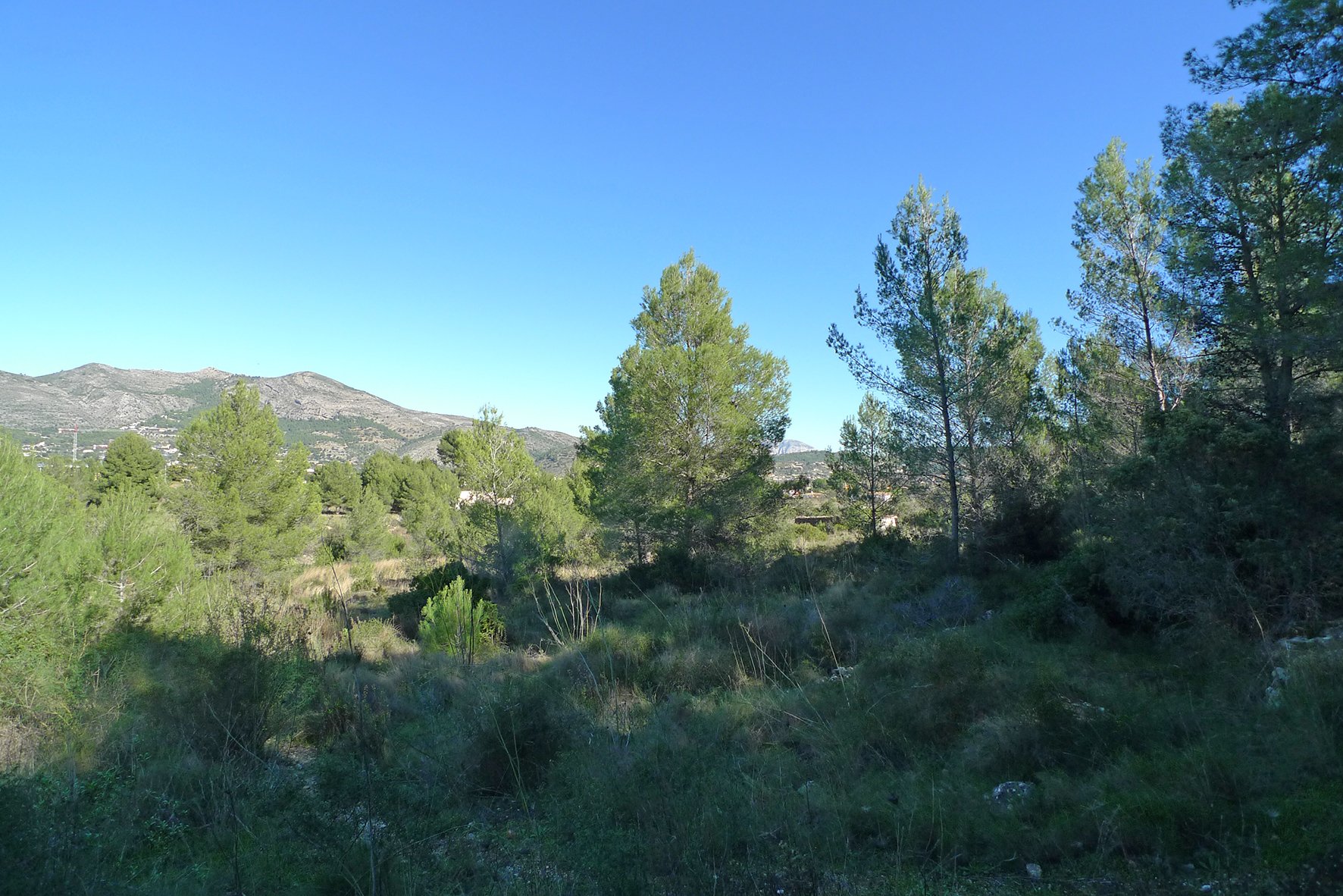 Zemes gabals Jalon, Alicante, Spānijā Nr. 183954