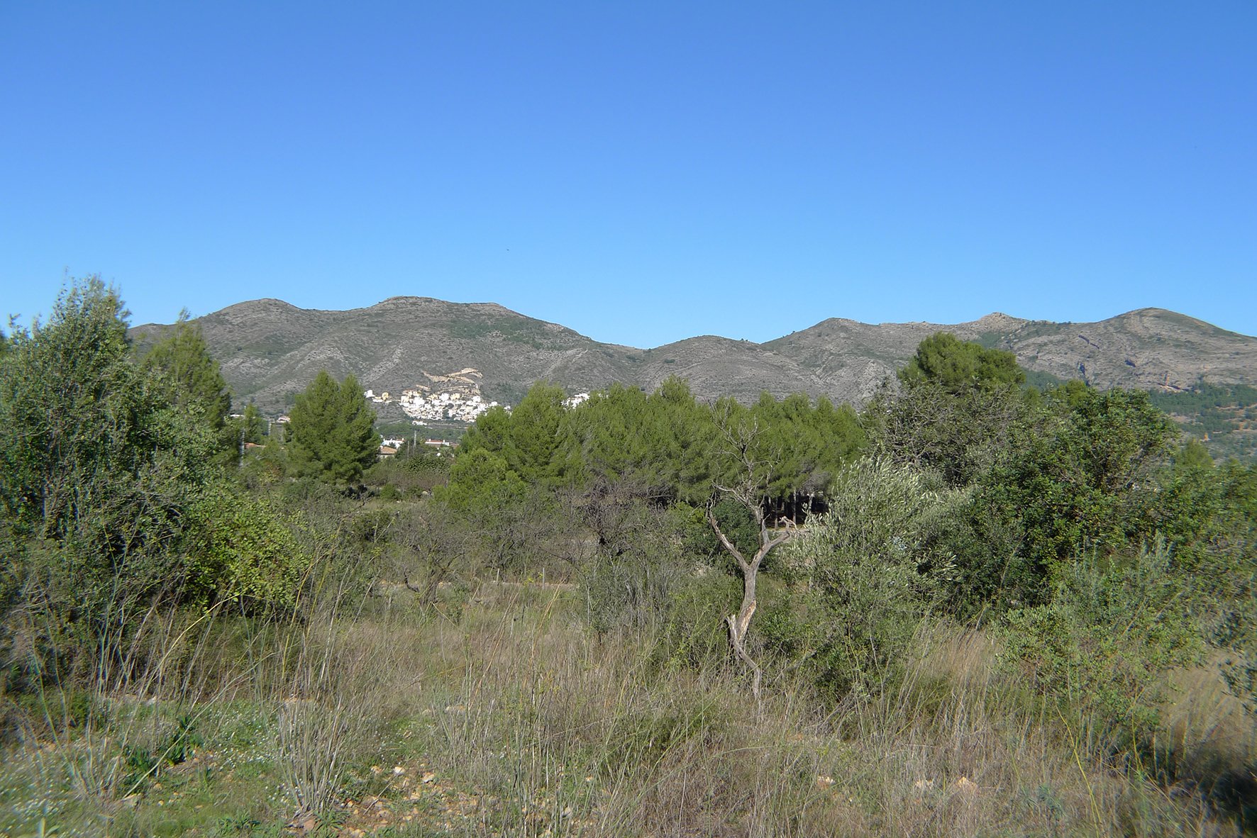 Zemes gabals Jalon, Alicante, Spānijā Nr. 183954