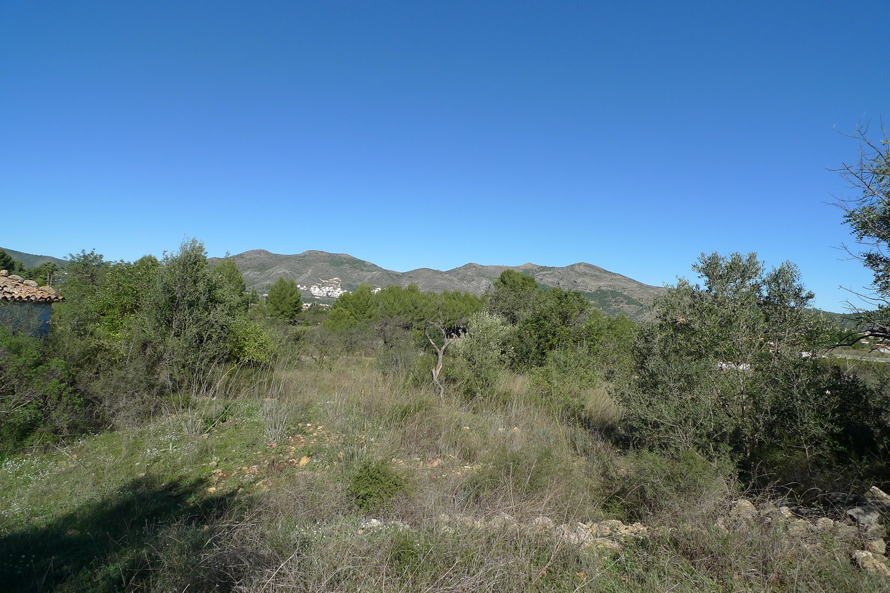 Zemes gabals Jalon, Alicante, Spānijā Nr. 183954