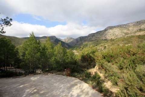 Land in Pedreguer, Alicante, Spanien Nr. 183953