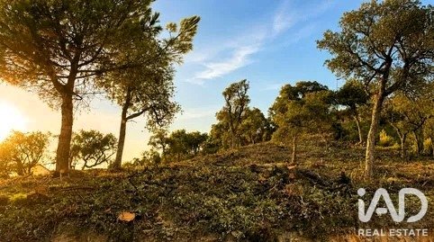 Land plot in Lloret de Mar, Girona, Spain 1270 sq.m. No. 194353