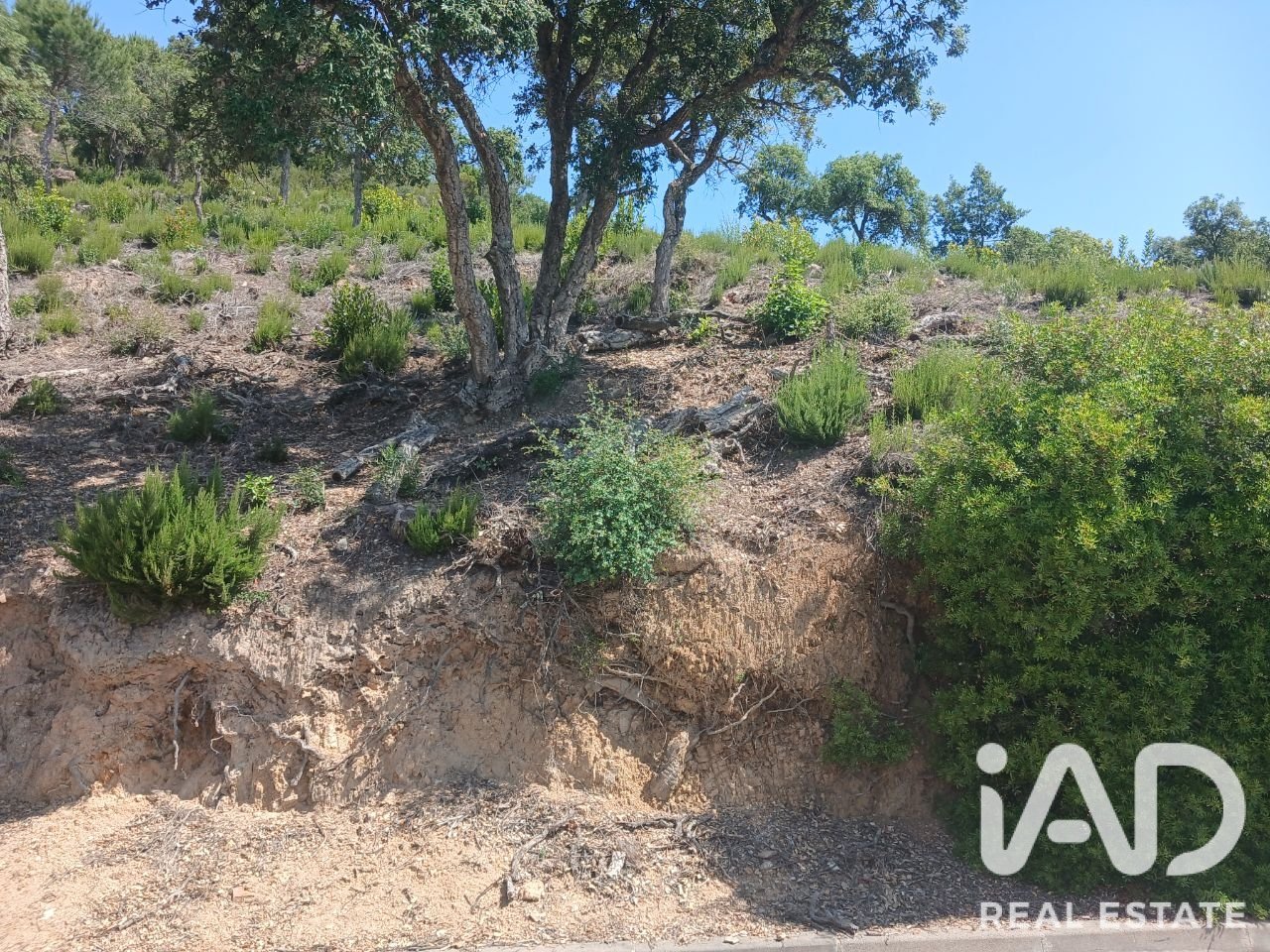 Land plot in Lloret de Mar, Girona, Spain 1270 sq.m. No. 194353