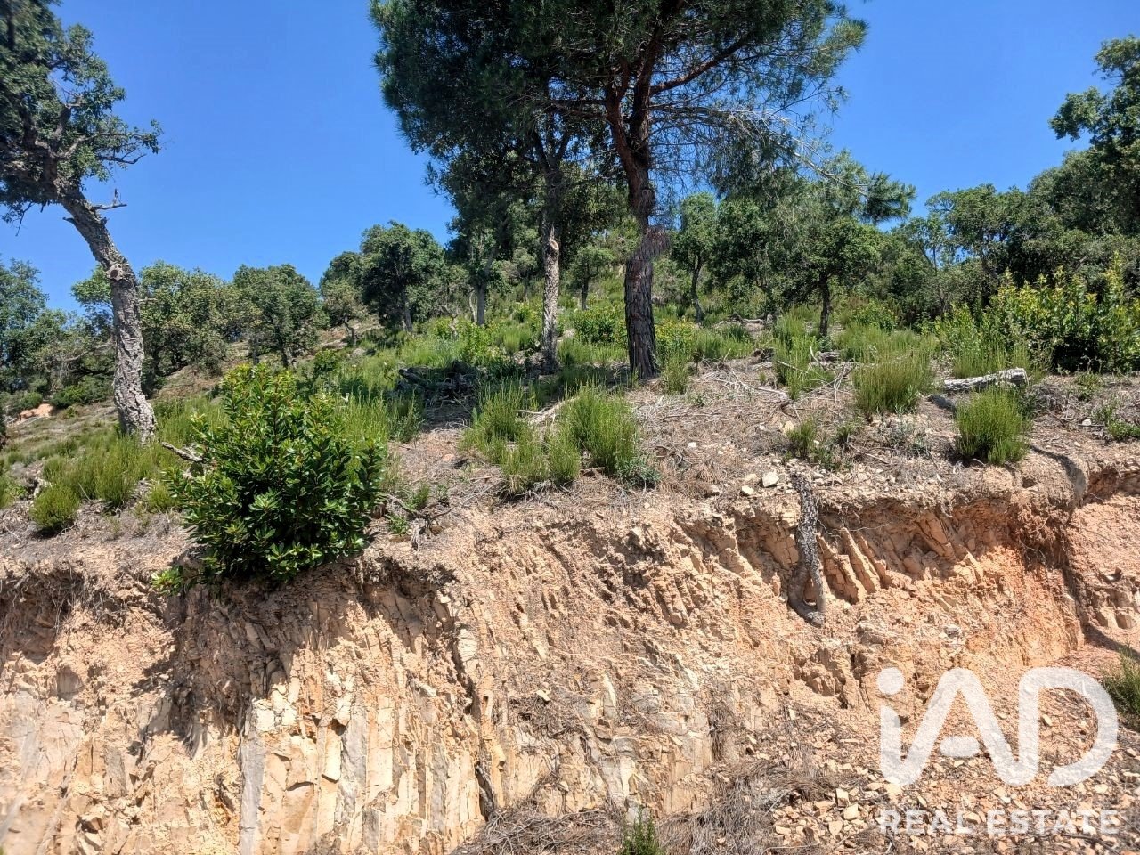 Land plot in Lloret de Mar, Girona, Spain 1270 sq.m. No. 194353