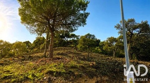 Land plot in Lloret de Mar, Girona, Spain 1270 sq.m. No. 194353