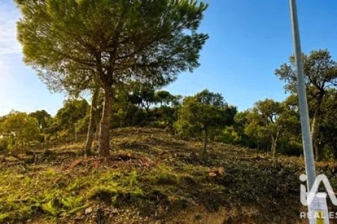 Land plot in Lloret de Mar, Girona, Spain 1270 sq.m. No. 194353
