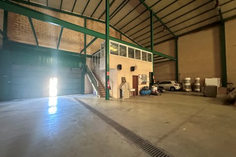 Liikekiinteistö Sa Pobla, Mallorca, Espanja 727 m2 No. 69031
