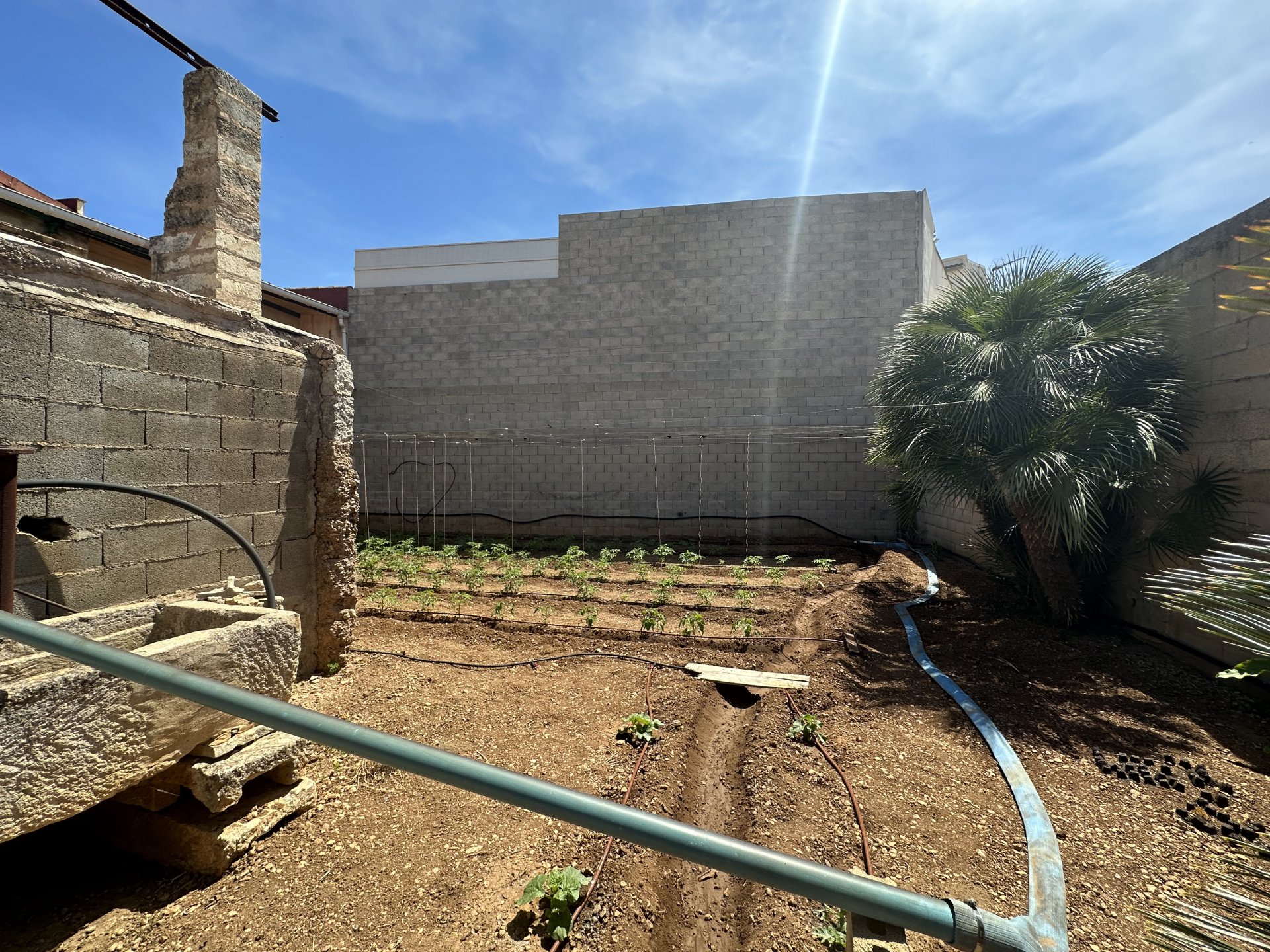 Liikekiinteistö Sa Pobla, Mallorca, Espanja 727 m2 No. 69031
