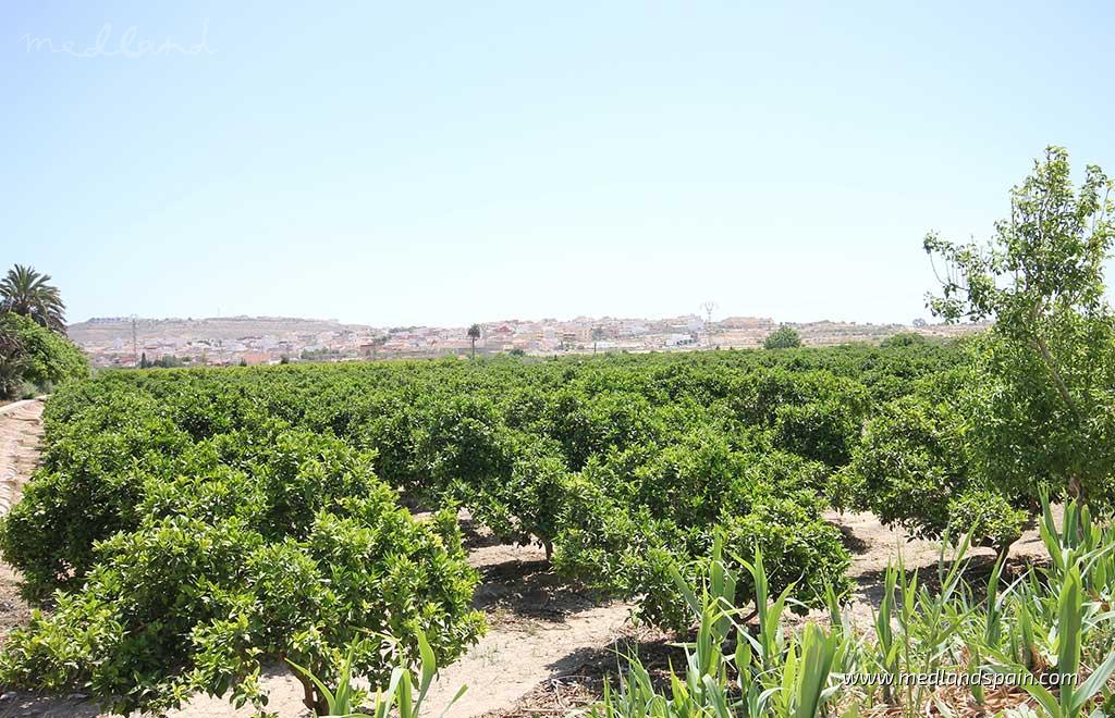 Apartament w Benijofar, Alicante, Hiszpania 2 sypialnie, 73 mkw. nr 149369