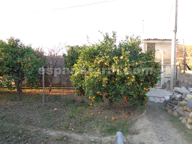 Дом в Пурчена, Альмерия, Испания 2 спальни, 80м2 №184095