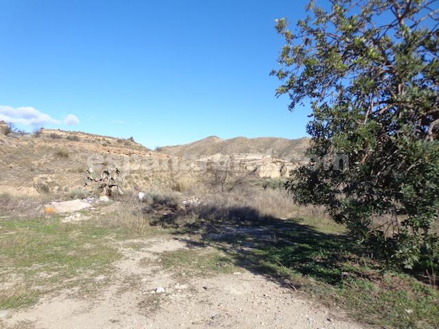 Dom w Arboleas, Almeria, Hiszpania 6 sypialni, 300 mkw. nr 184096