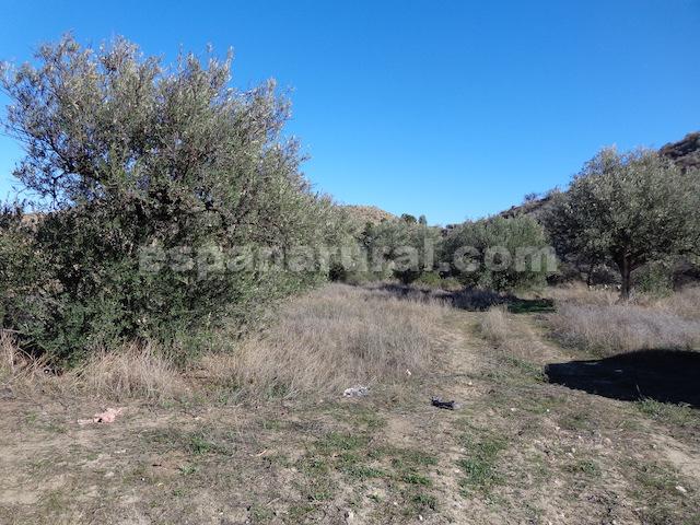 Dom w Arboleas, Almeria, Hiszpania 6 sypialni, 300 mkw. nr 184096