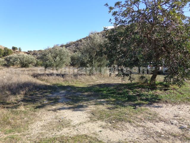 Dom w Arboleas, Almeria, Hiszpania 6 sypialni, 300 mkw. nr 184096