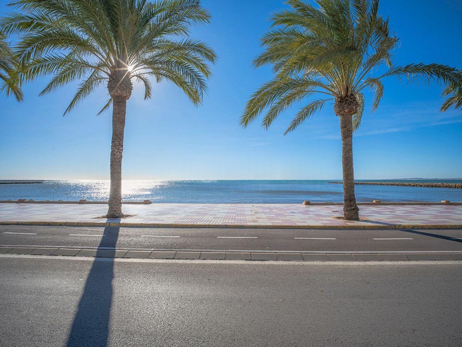 Villa à Santa Pola, Alicante, Espagne 7 chambres, 200 m2 No. 196313