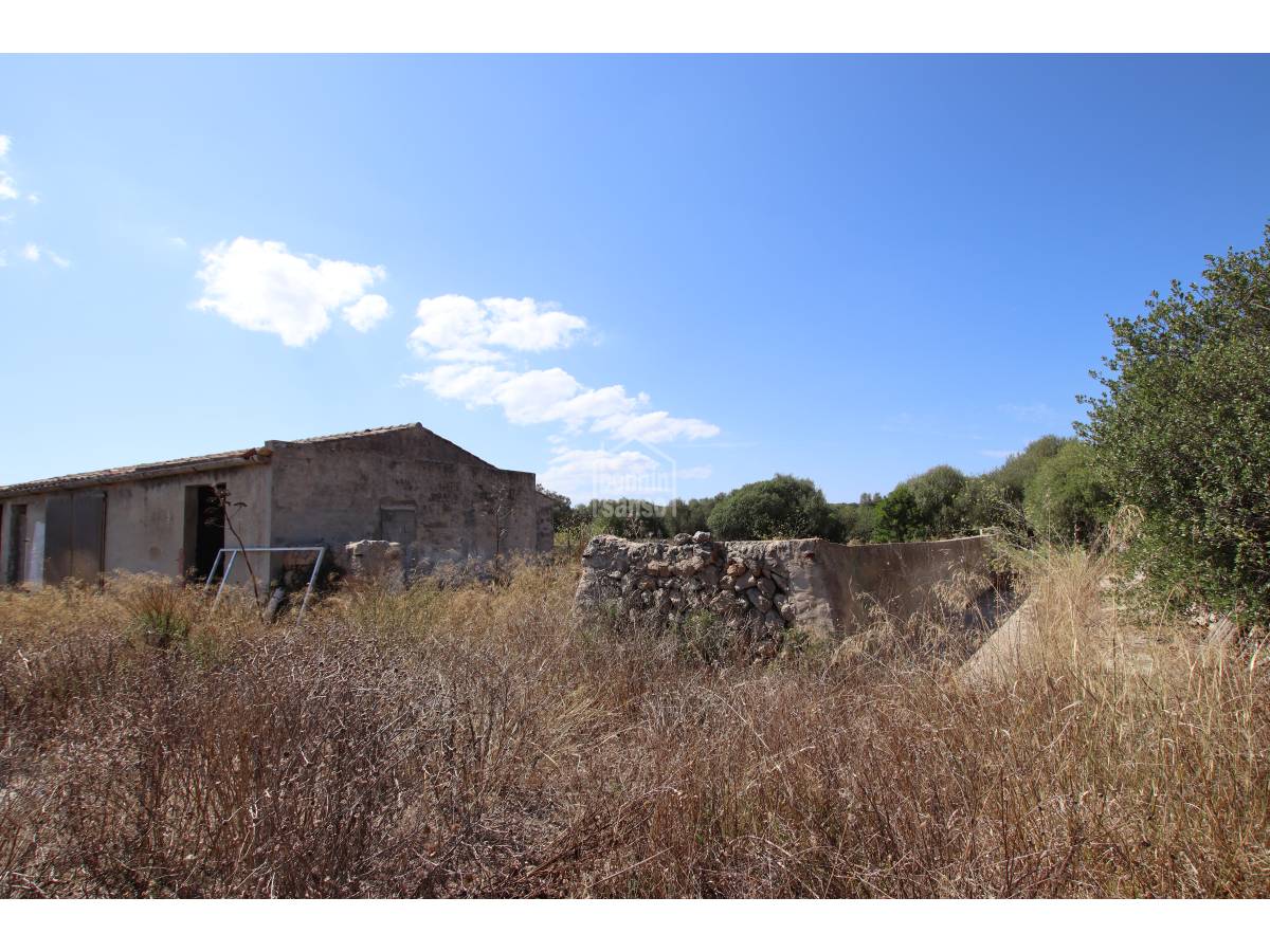 Land plot in Alaior, Menorca, Spain 779 sq.m. No. 65348