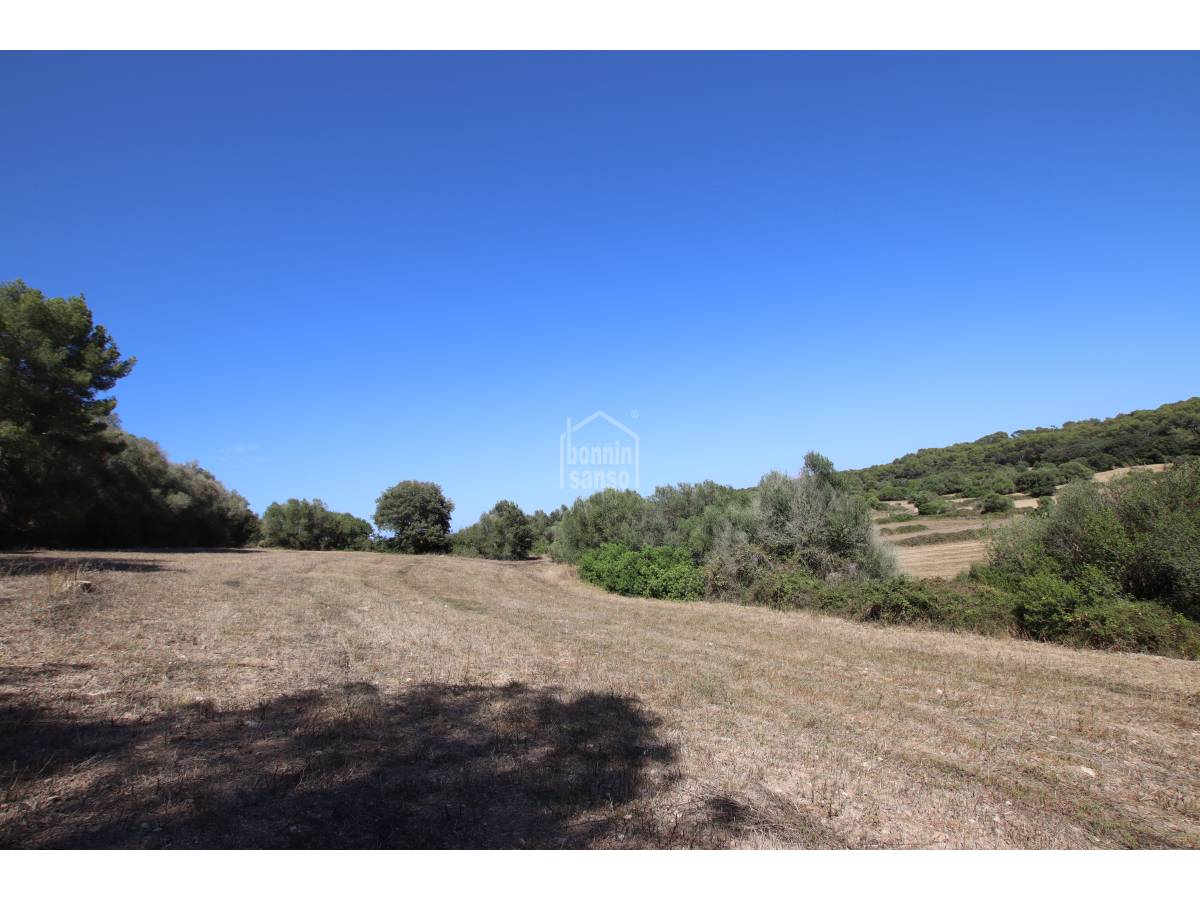 Land plot in Alaior, Menorca, Spain 779 sq.m. No. 65348