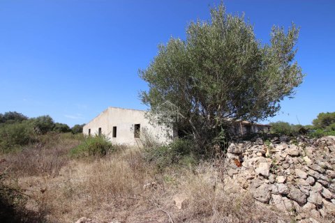Land plot in Alaior, Menorca, Spain 779 sq.m. No. 65348