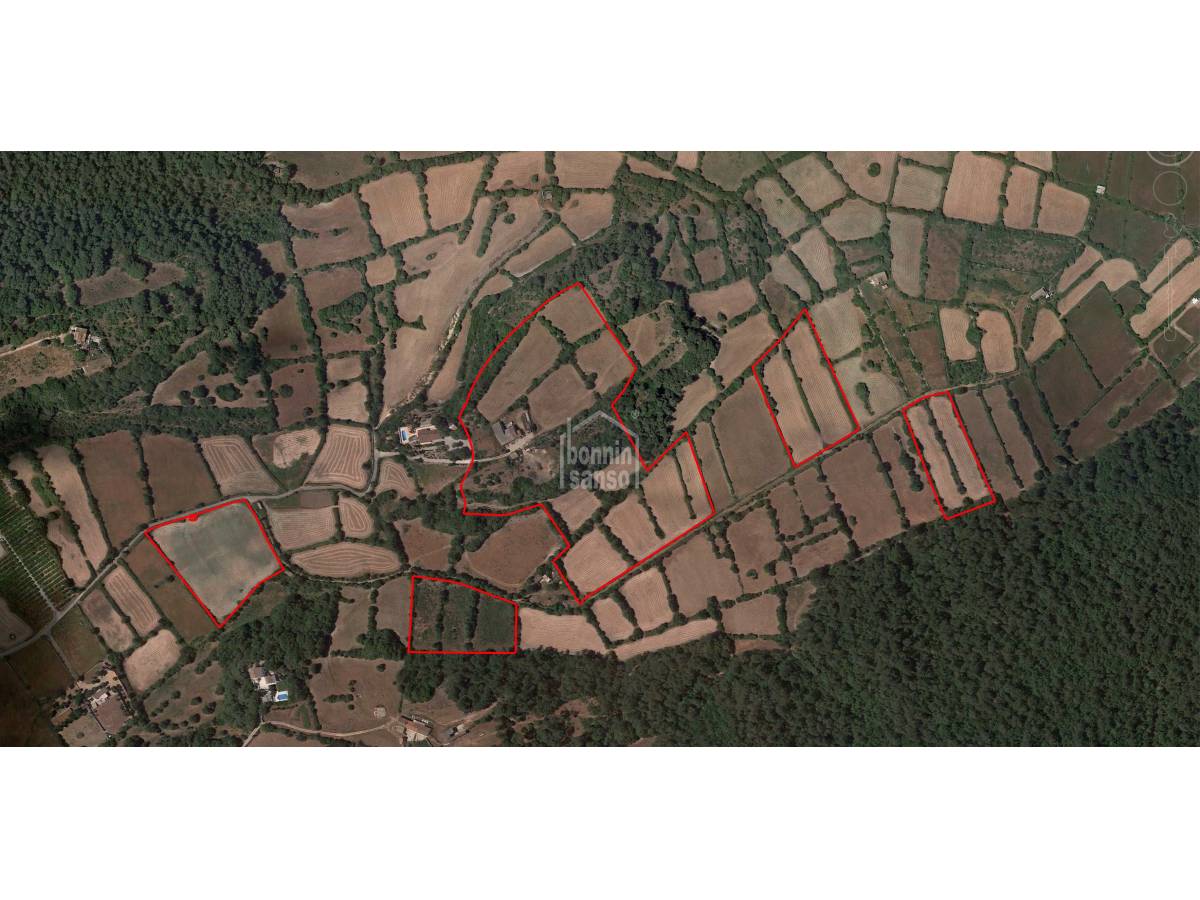 Land plot in Alaior, Menorca, Spain 779 sq.m. No. 65348