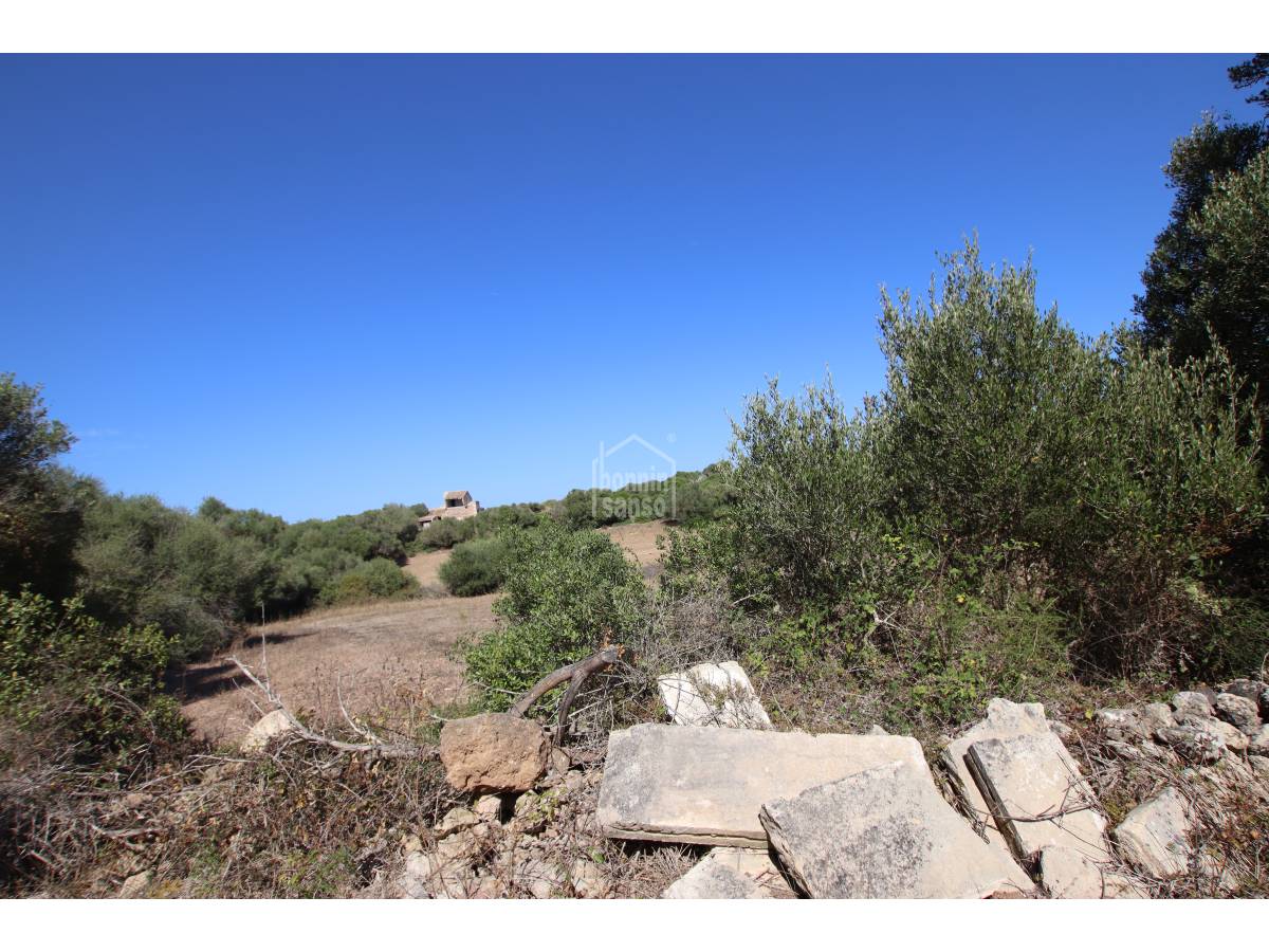 Land plot in Alaior, Menorca, Spain 779 sq.m. No. 65348