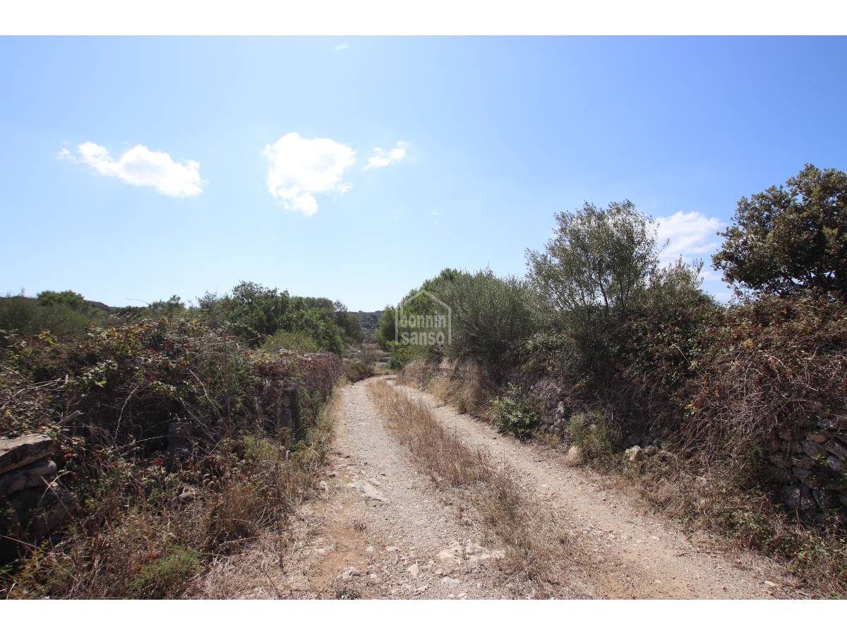 Land plot in Alaior, Menorca, Spain 779 sq.m. No. 65348