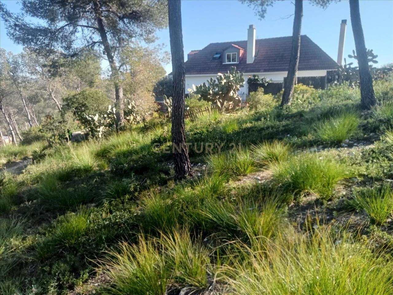 Land plot in Olivella, Barcelona, Spain No. 191255