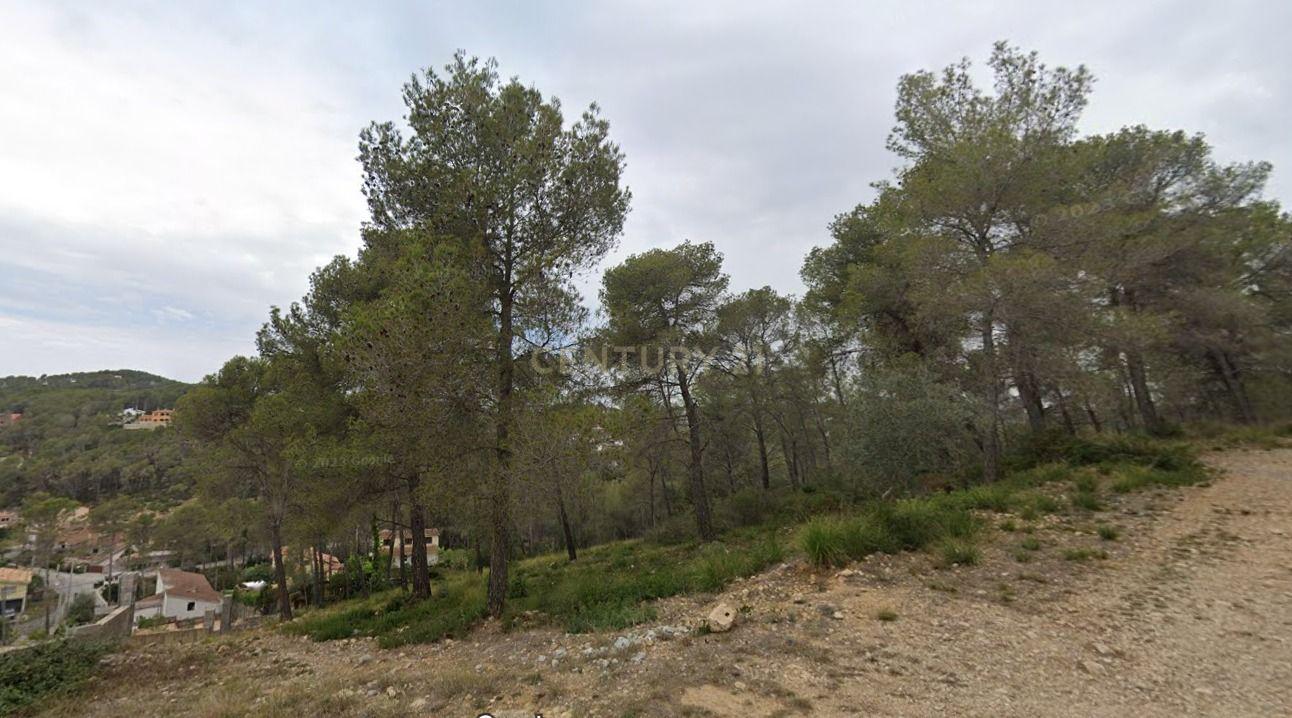 Land plot in Olivella, Barcelona, Spain No. 191255