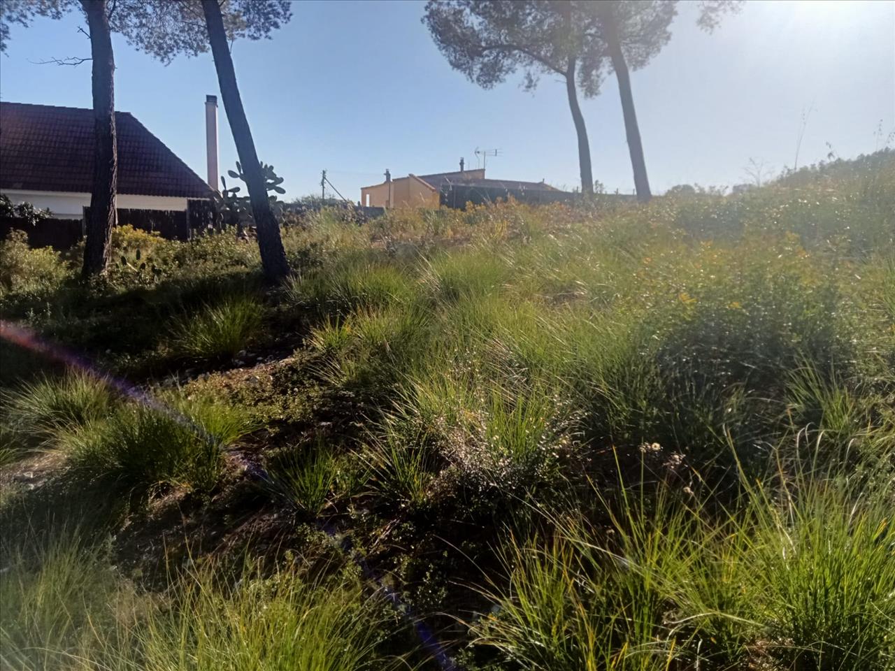 Land plot in Olivella, Barcelona, Spain No. 191255