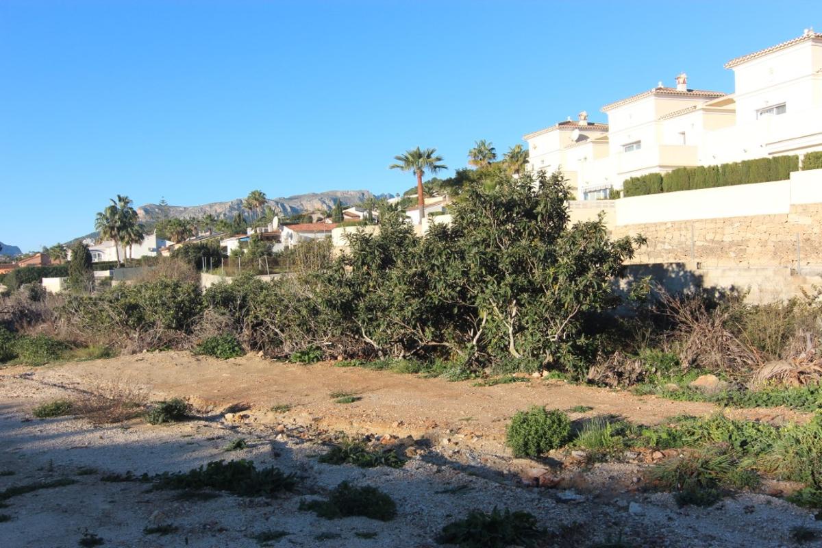 Land plot à Calpe, Alicante, Espagne No. 80789