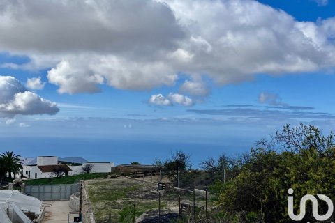 Land plot in Vilaflor, Tenerife, Spain 2774 sq.m. No. 153807