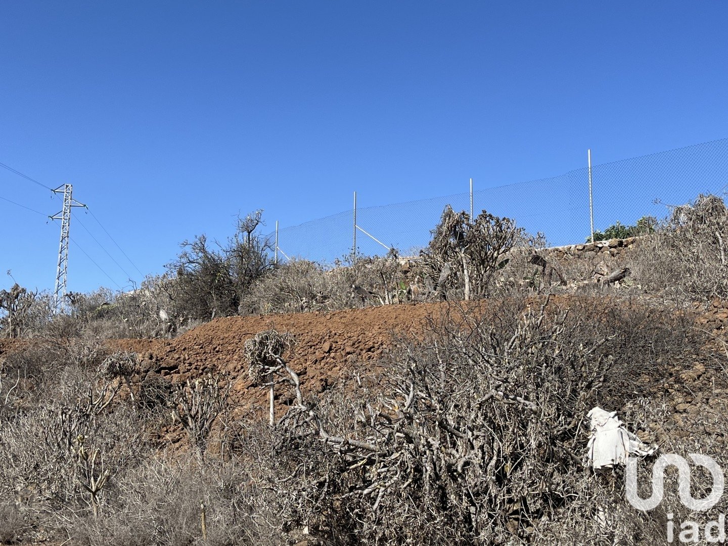 Land plot in Vilaflor, Tenerife, Spain 2774 sq.m. No. 153807