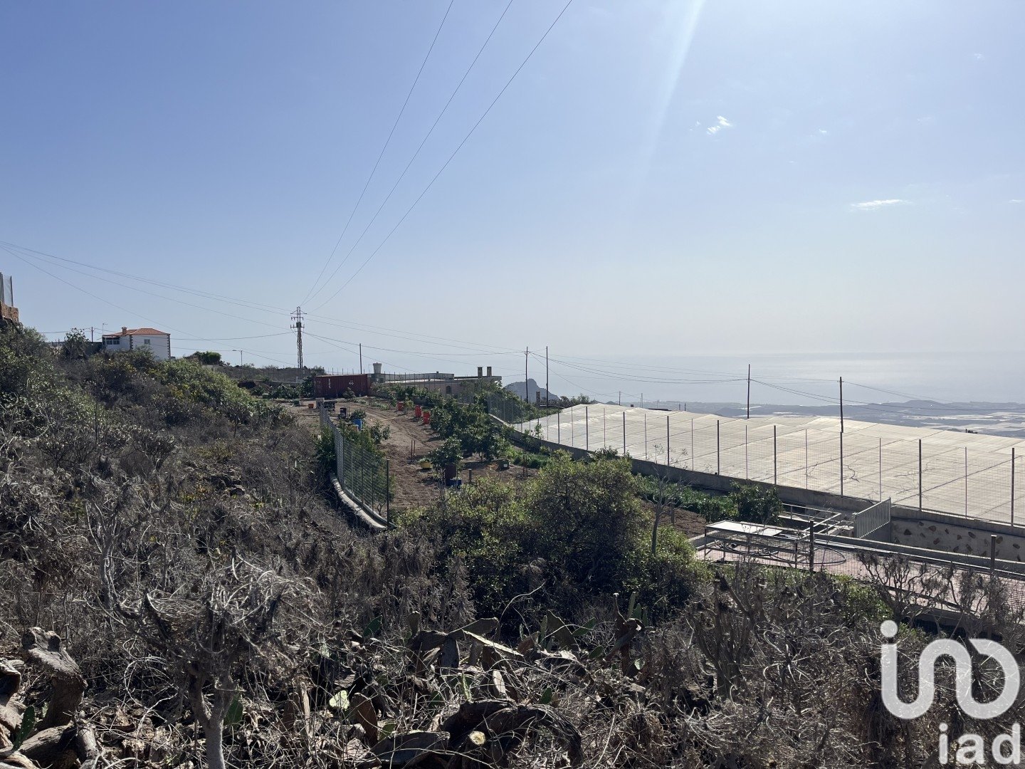 Land plot in Vilaflor, Tenerife, Spain 2774 sq.m. No. 153807