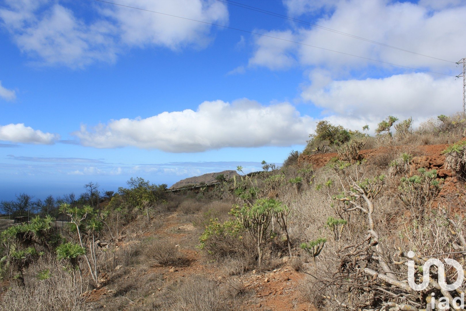 Land plot in Vilaflor, Tenerife, Spain 2774 sq.m. No. 153807