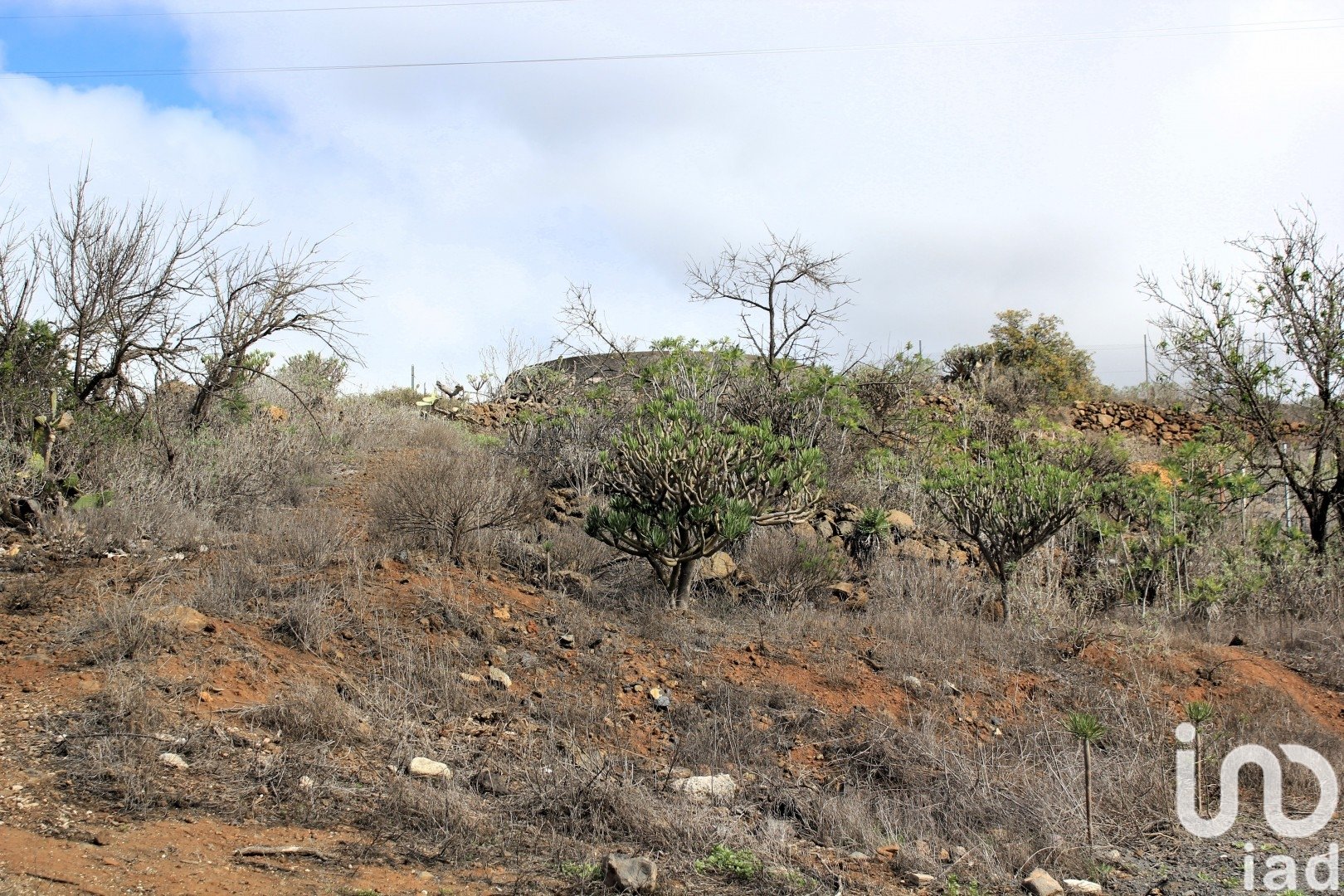 Land plot in Vilaflor, Tenerife, Spain 2774 sq.m. No. 153807