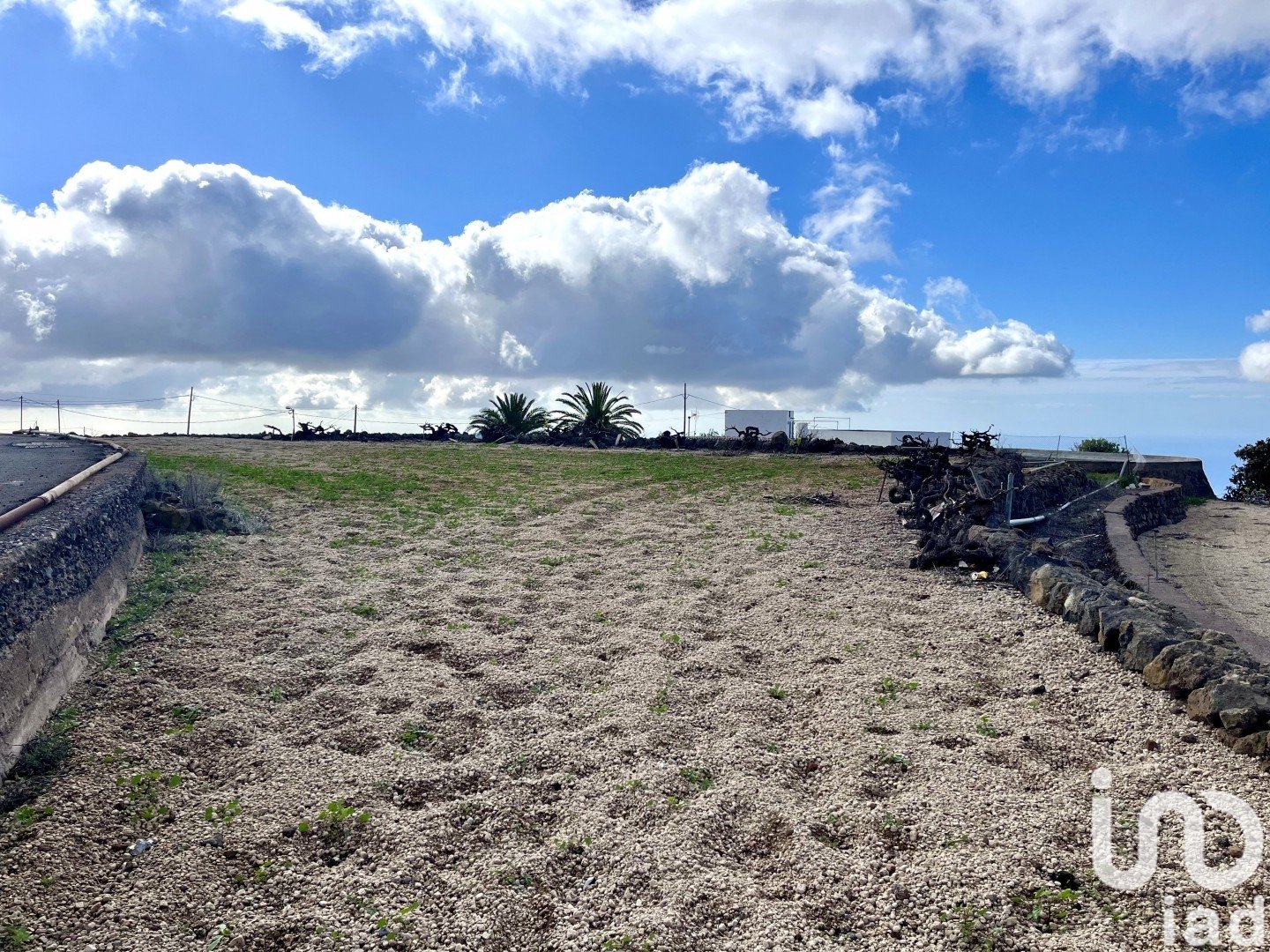 Land plot à Vilaflor, Tenerife, Espagne 2247 m2 No. 153808