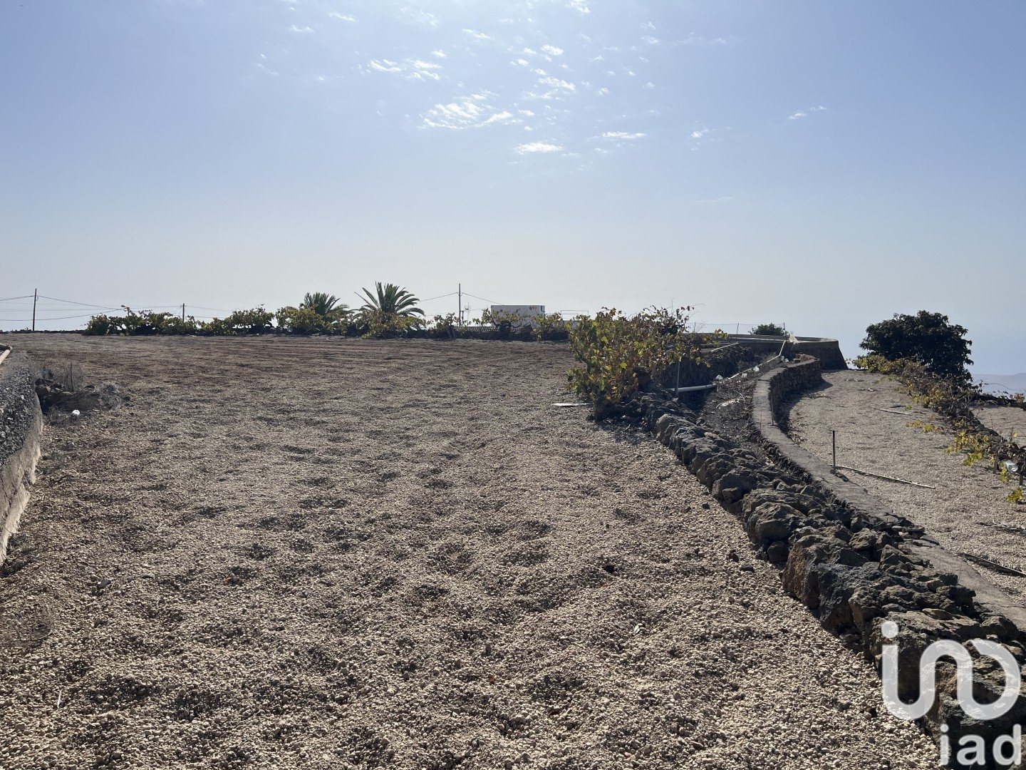 Land plot à Vilaflor, Tenerife, Espagne 2247 m2 No. 153808