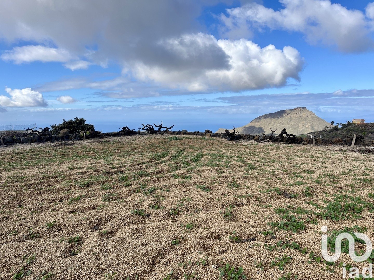 Land plot à Vilaflor, Tenerife, Espagne 2247 m2 No. 153808