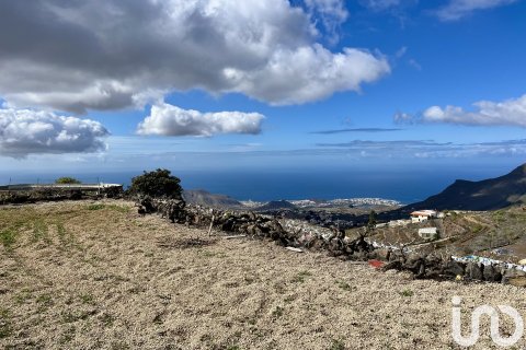 Działka w Vilaflor, Tenerife, Hiszpania 2247 mkw. nr 153808
