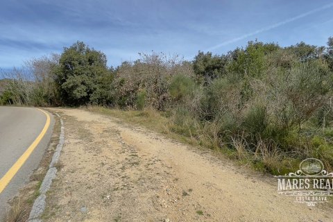 Terreno a Lloret de Mar, Girona, Spagna 1076 mq. N° 94183