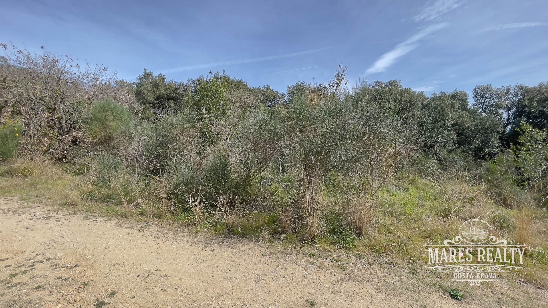 Land plot à Lloret de Mar, Girona, Espagne 1076 m2 No. 94183
