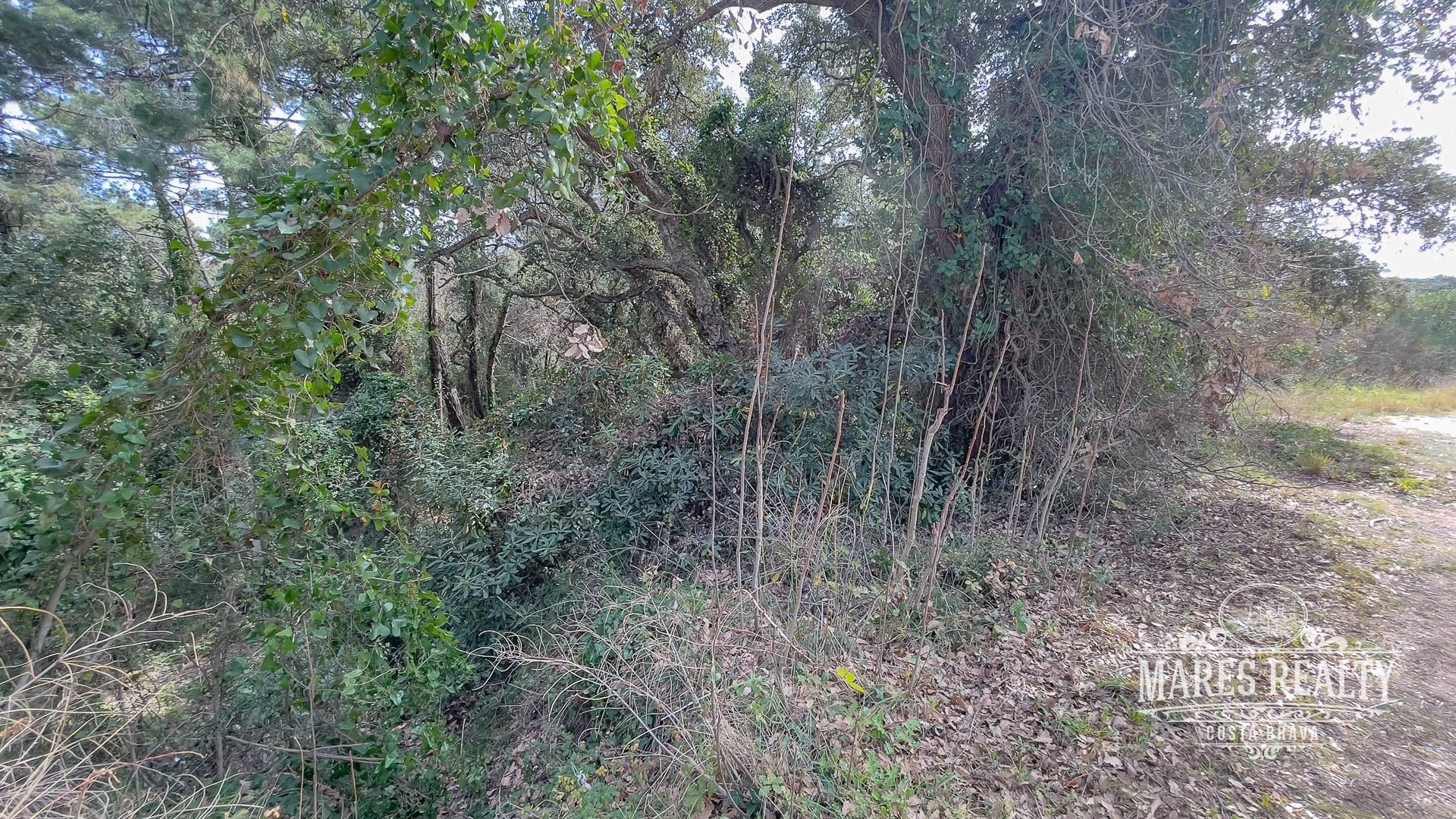 Land plot à Lloret de Mar, Girona, Espagne 1076 m2 No. 94183