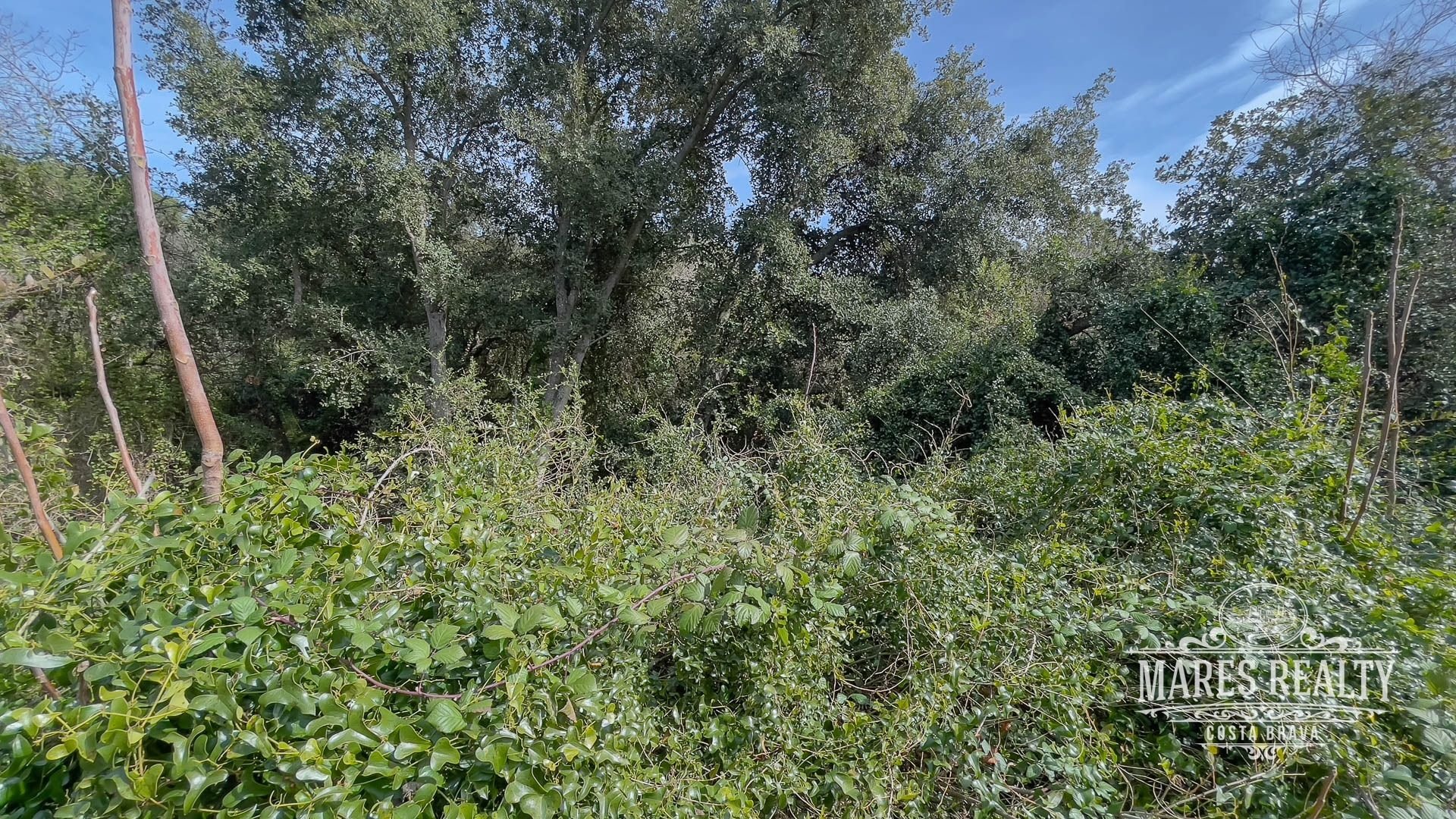 Land plot à Lloret de Mar, Girona, Espagne 1076 m2 No. 94183