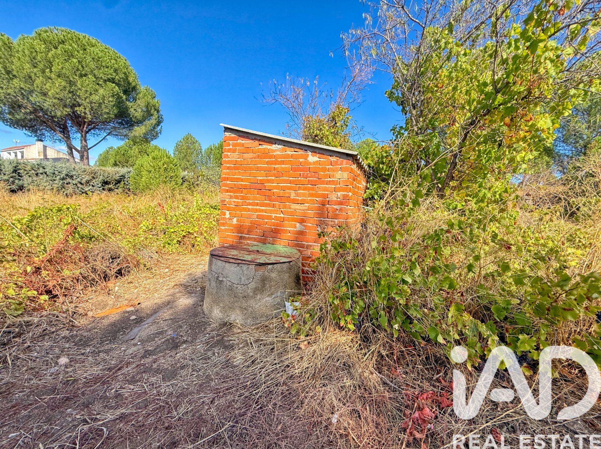 Działka w El Tiemblo, Avila, Hiszpania 11300 mkw. nr 152652