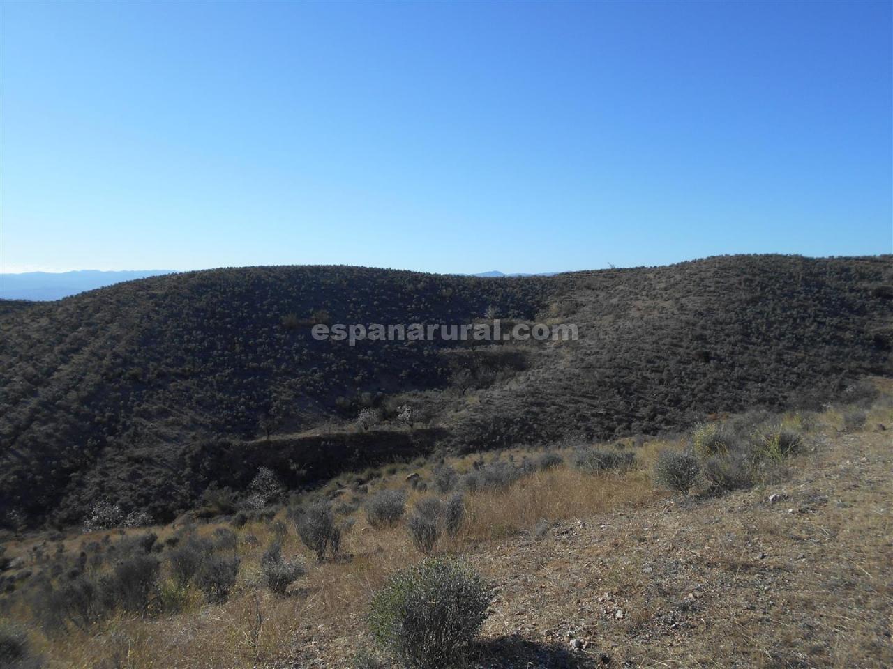 Land plot in Partaloa, Almeria, Spain No. 184149