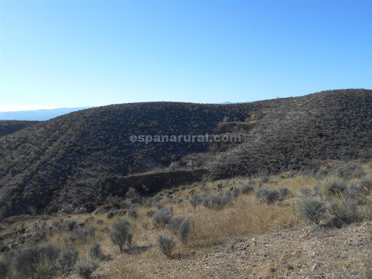 Land plot in Partaloa, Almeria, Spain No. 184149