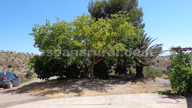 House in Albox, Almeria, Spain 3 bedrooms, 178 sq.m. No. 184148