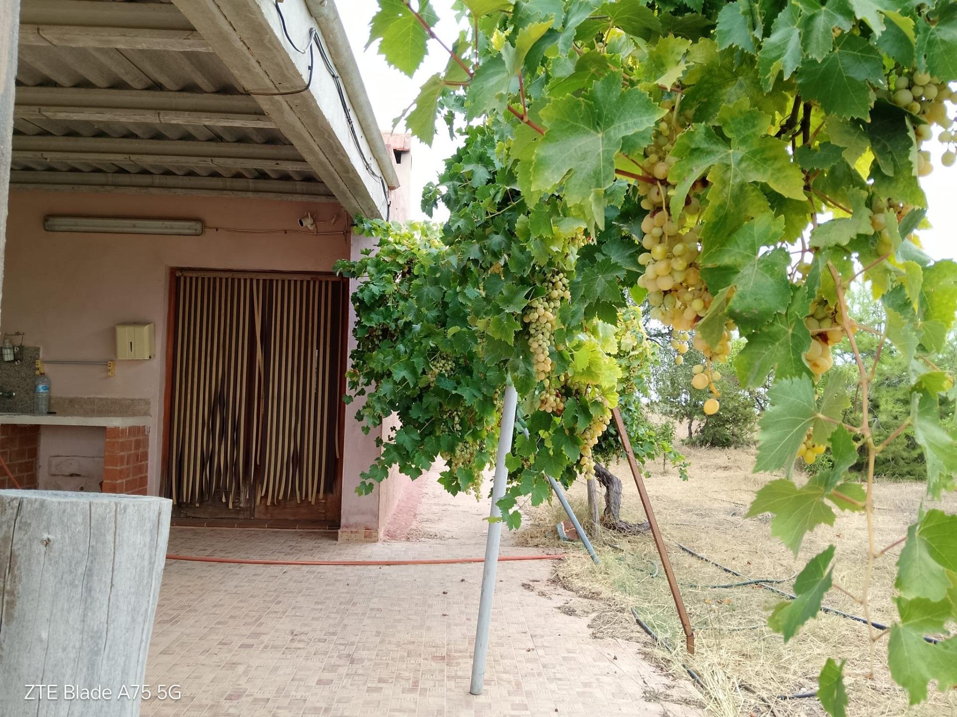 Finca Cartagena, Murcia, Spānijā 4 istabas, 230 m2 Nr. 139443